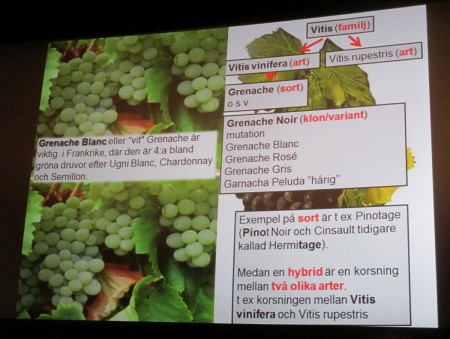 En snabbkurs!